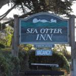 Cambria_0354 (November 03, 2013)